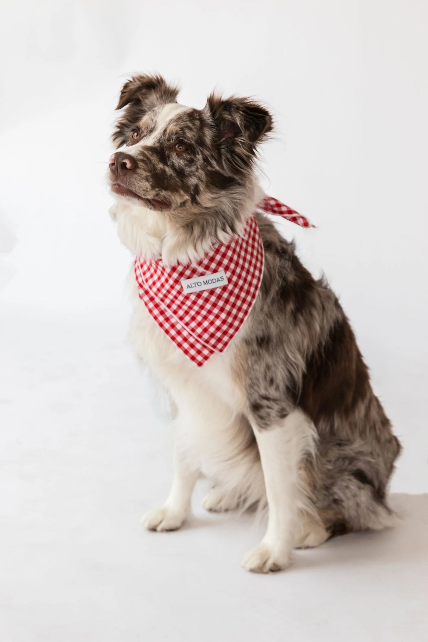 Alto Modas Classic Red Polka Dot Dog Bandana