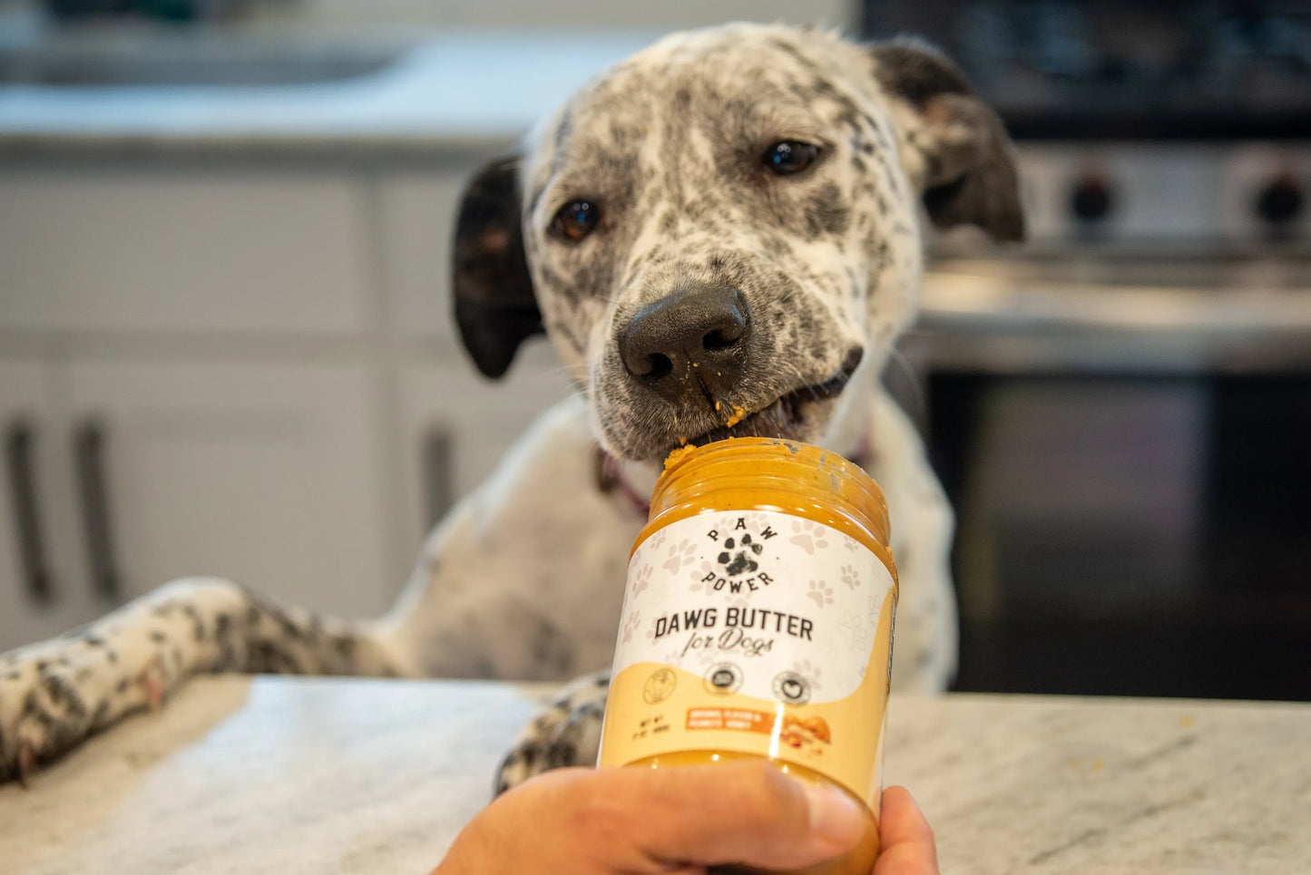 Paw Power Nutrition Peanut Butter Dog Treats 17 oz