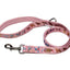 Dog Leash - Your Pet Connection