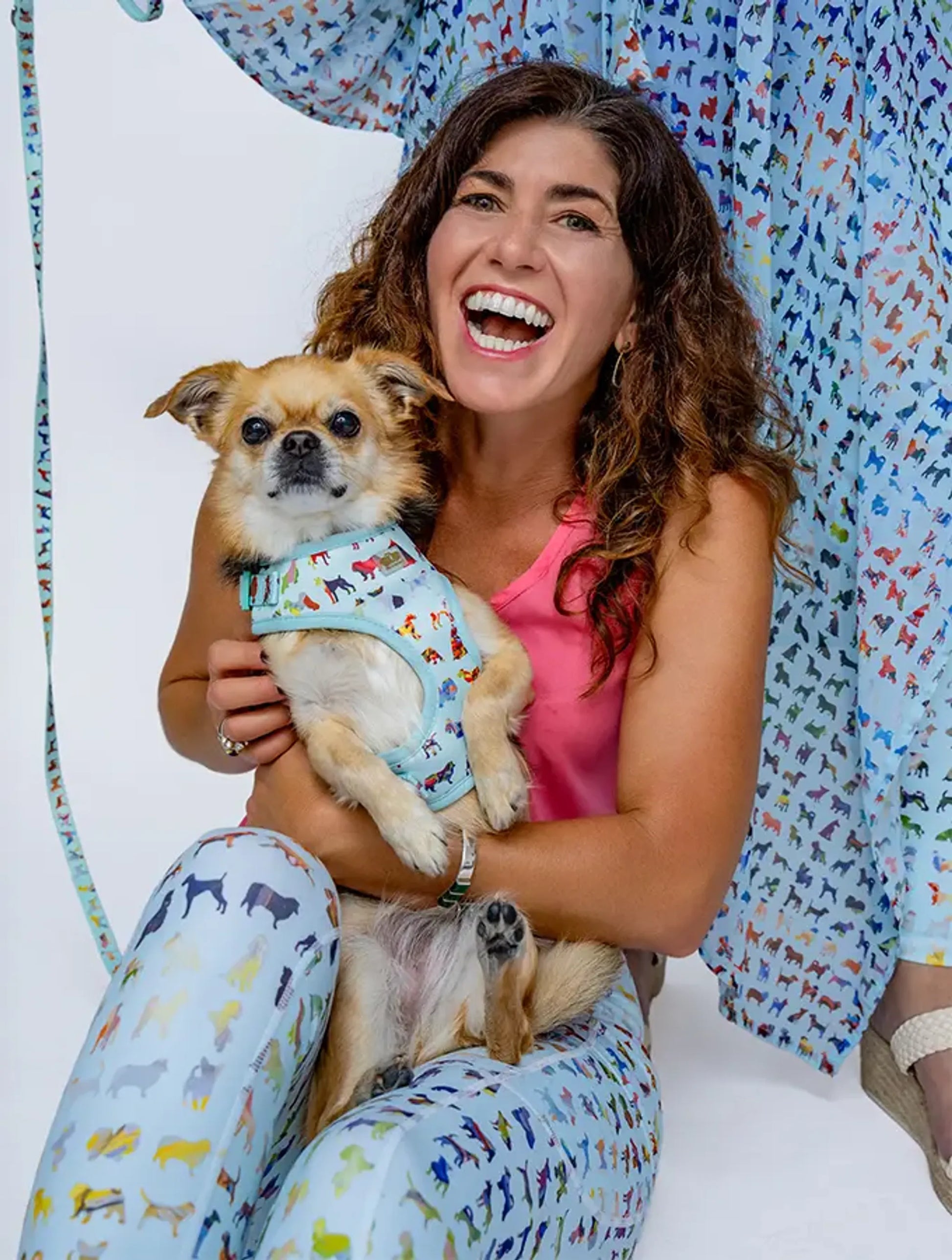 Blue Buddies Harnes - Your Pet Connection