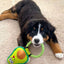 Avo Doggo Avocado Dog Toy Small to Large
