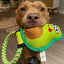 Avo Doggo Avocado Dog Toy Small to Large