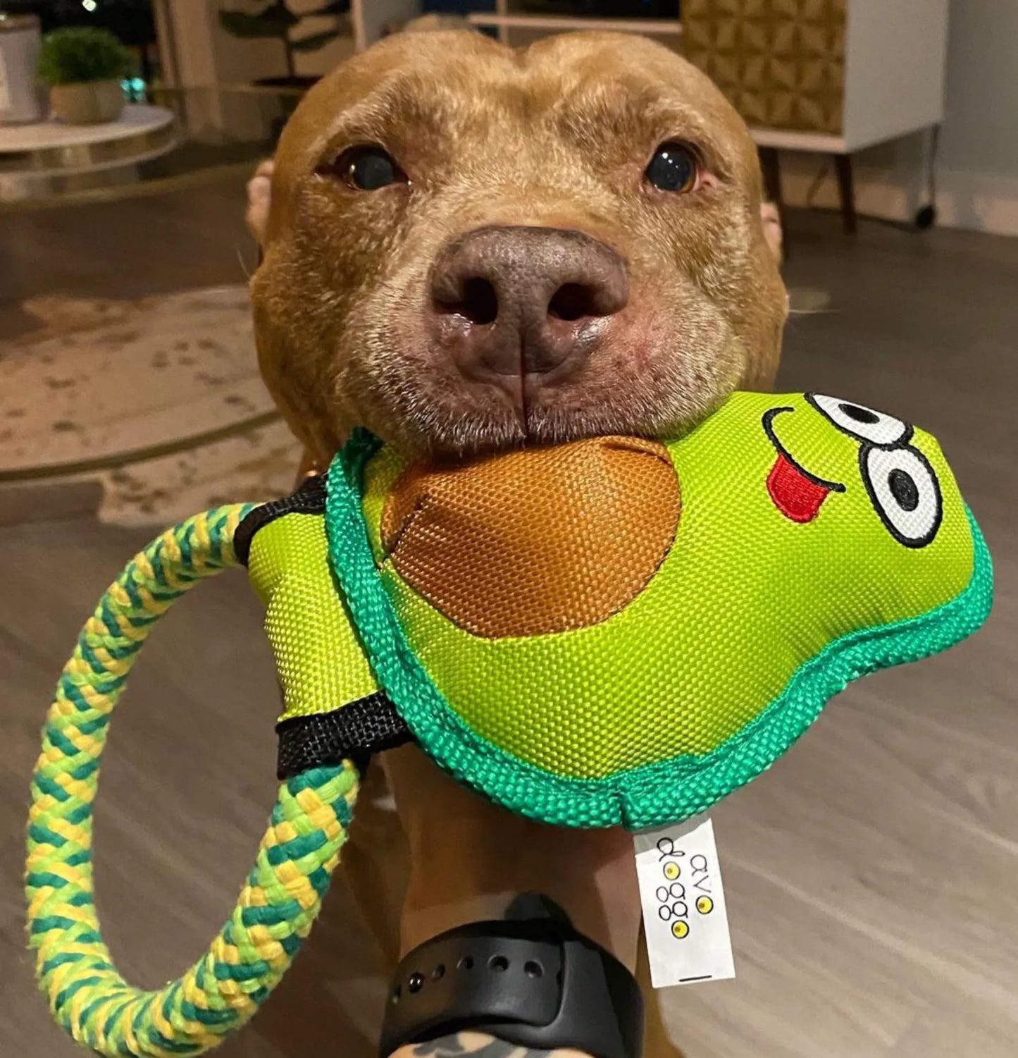 Avo Doggo Avocado Dog Toy Small to Large