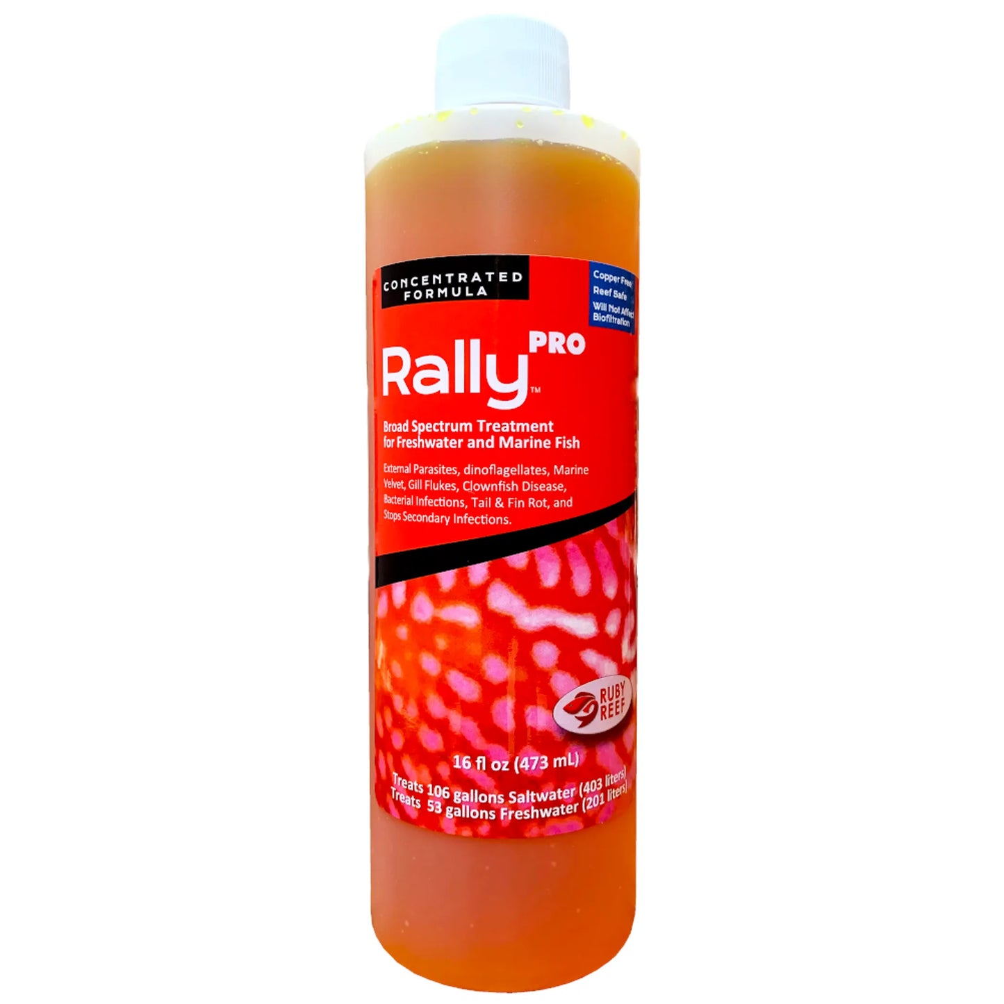 Rally PRO - Your Pet Connection