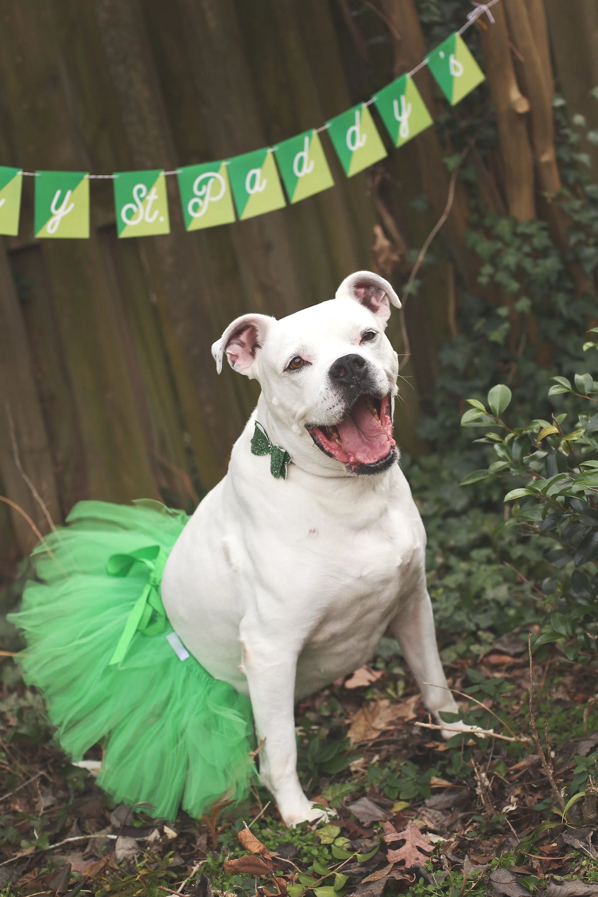 Green Christmas Dog Tutu Skirt (XS) - Your Pet Connection
