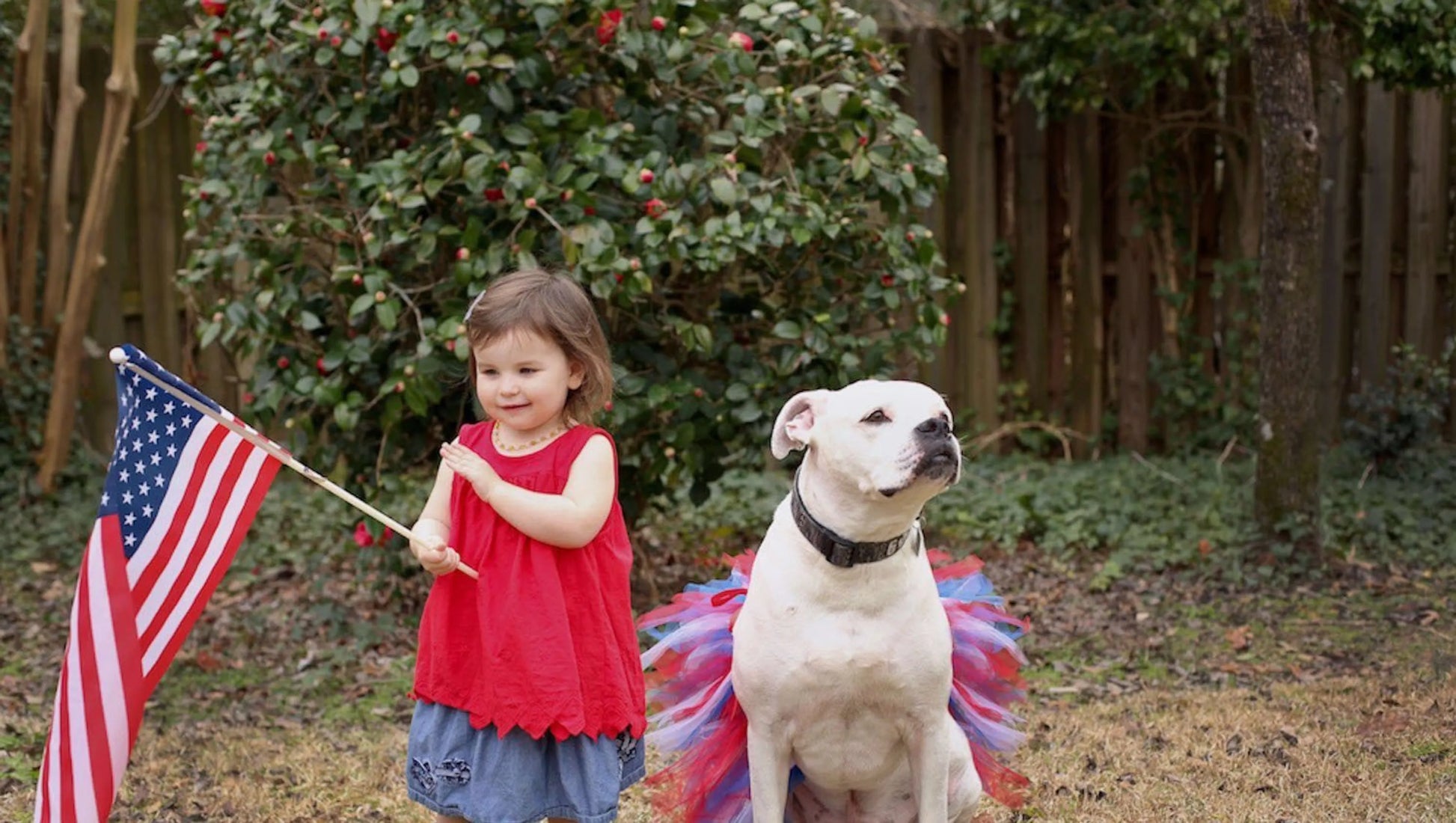 Red/White/Blue 4th Of July Dog Tutu Skirt (XS) - Your Pet Connection