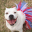 Red/White/Blue 4th Of July Dog Tutu Skirt (XS) - Your Pet Connection