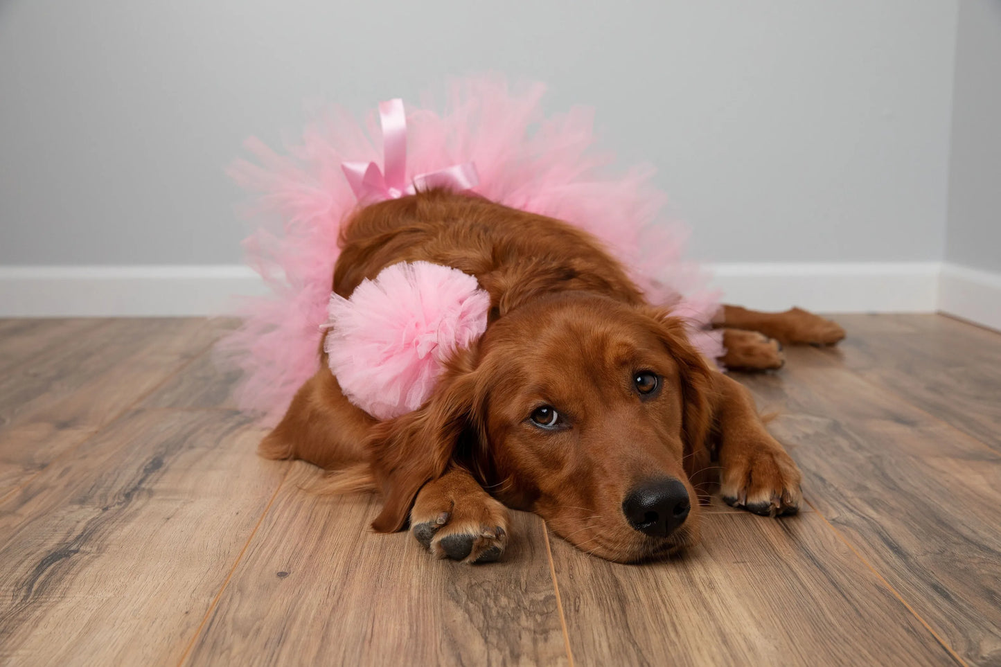 Light Pink Dog Tutu Skirt (XS) - Your Pet Connection