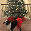 Red Christmas Dog Tutu Skirt (XS) - Your Pet Connection