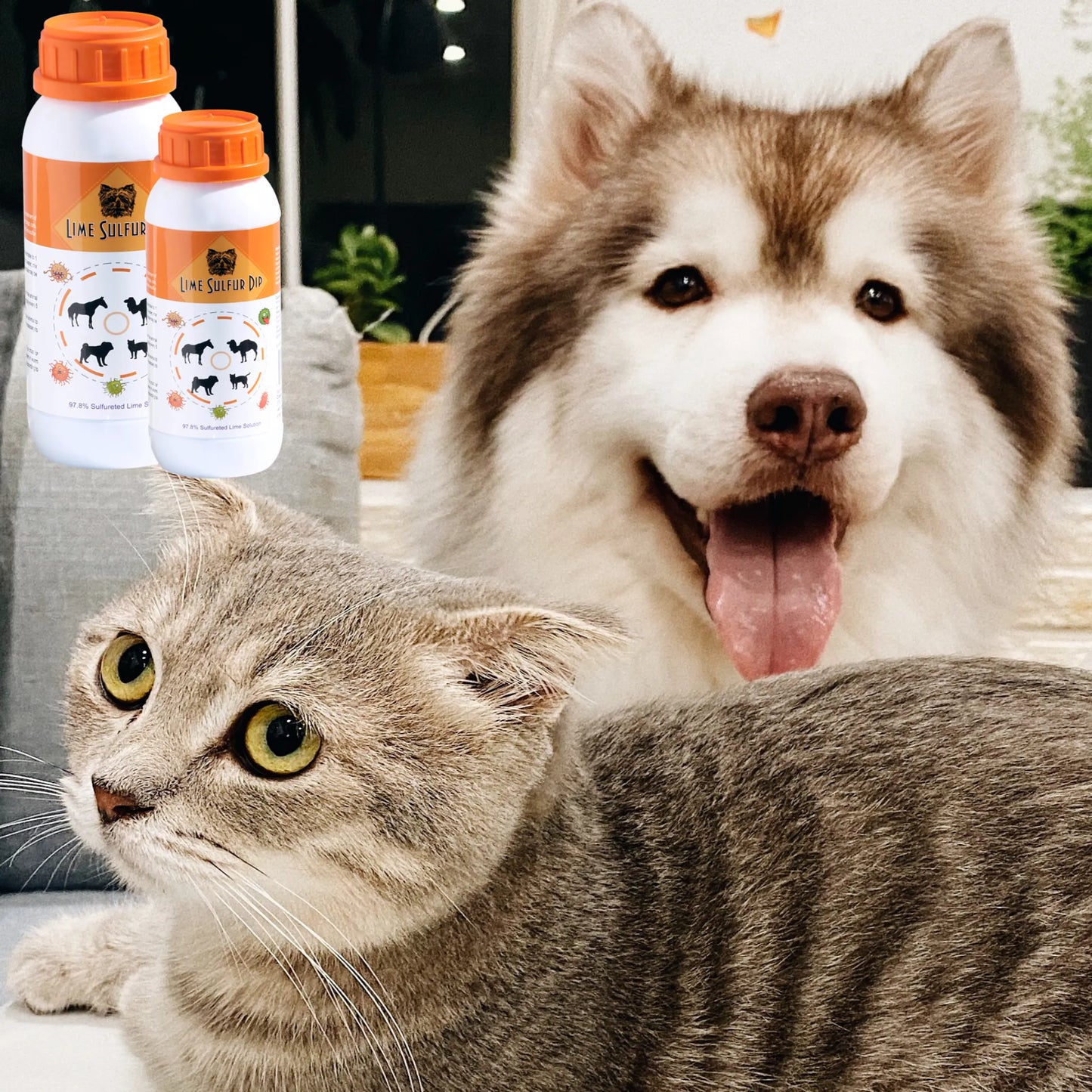Lime Sulfur Dip - Pet and Veterinary Solution for Dermatitis, Mange, Ringworm and other Parasites - Your Pet Connection