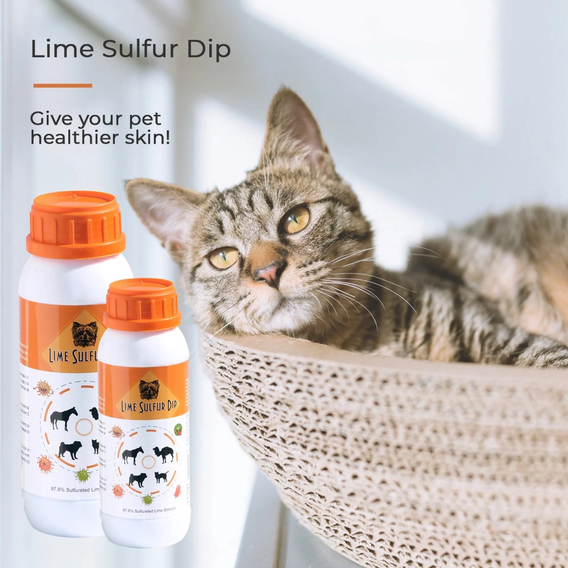 Lime Sulfur Dip - Pet and Veterinary Solution for Dermatitis, Mange, Ringworm and other Parasites - Your Pet Connection