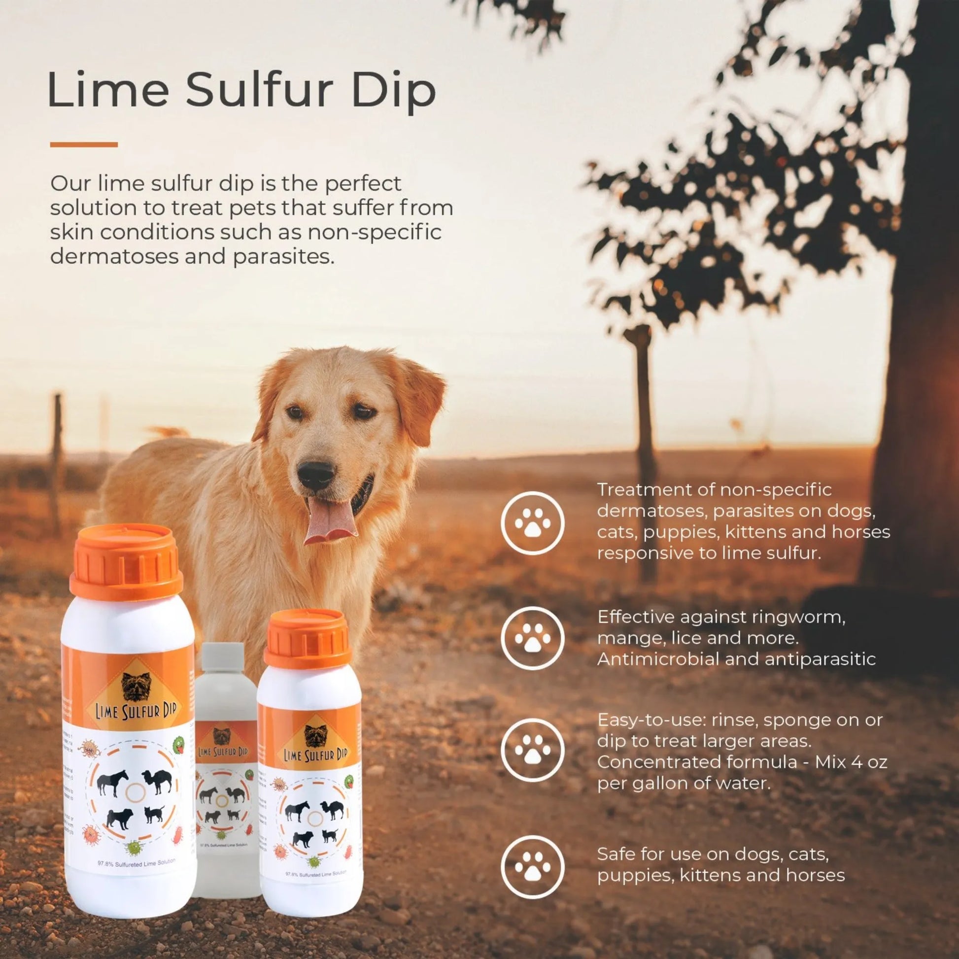 Lime Sulfur Dip - Pet and Veterinary Solution for Dermatitis, Mange, Ringworm and other Parasites - Your Pet Connection