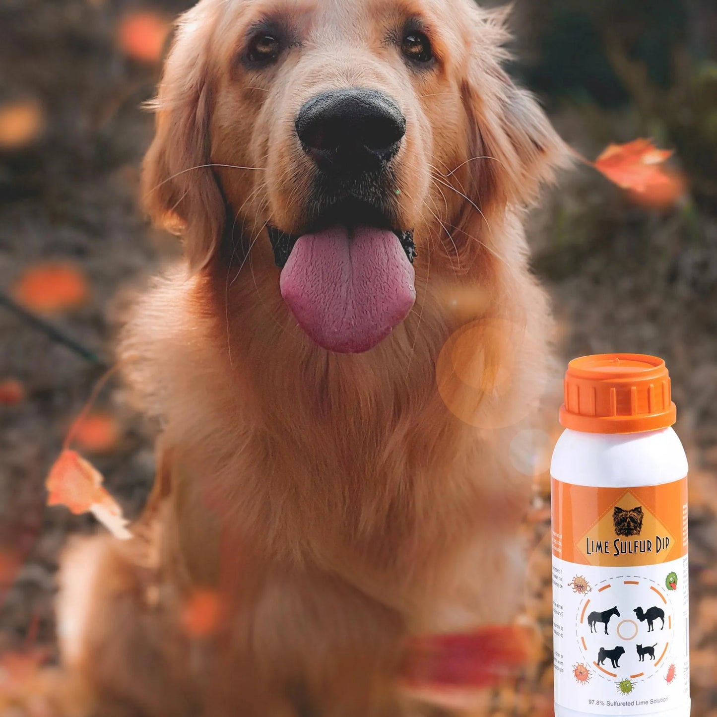 Lime Sulfur Dip - Pet and Veterinary Solution for Dermatitis, Mange, Ringworm and other Parasites - Your Pet Connection