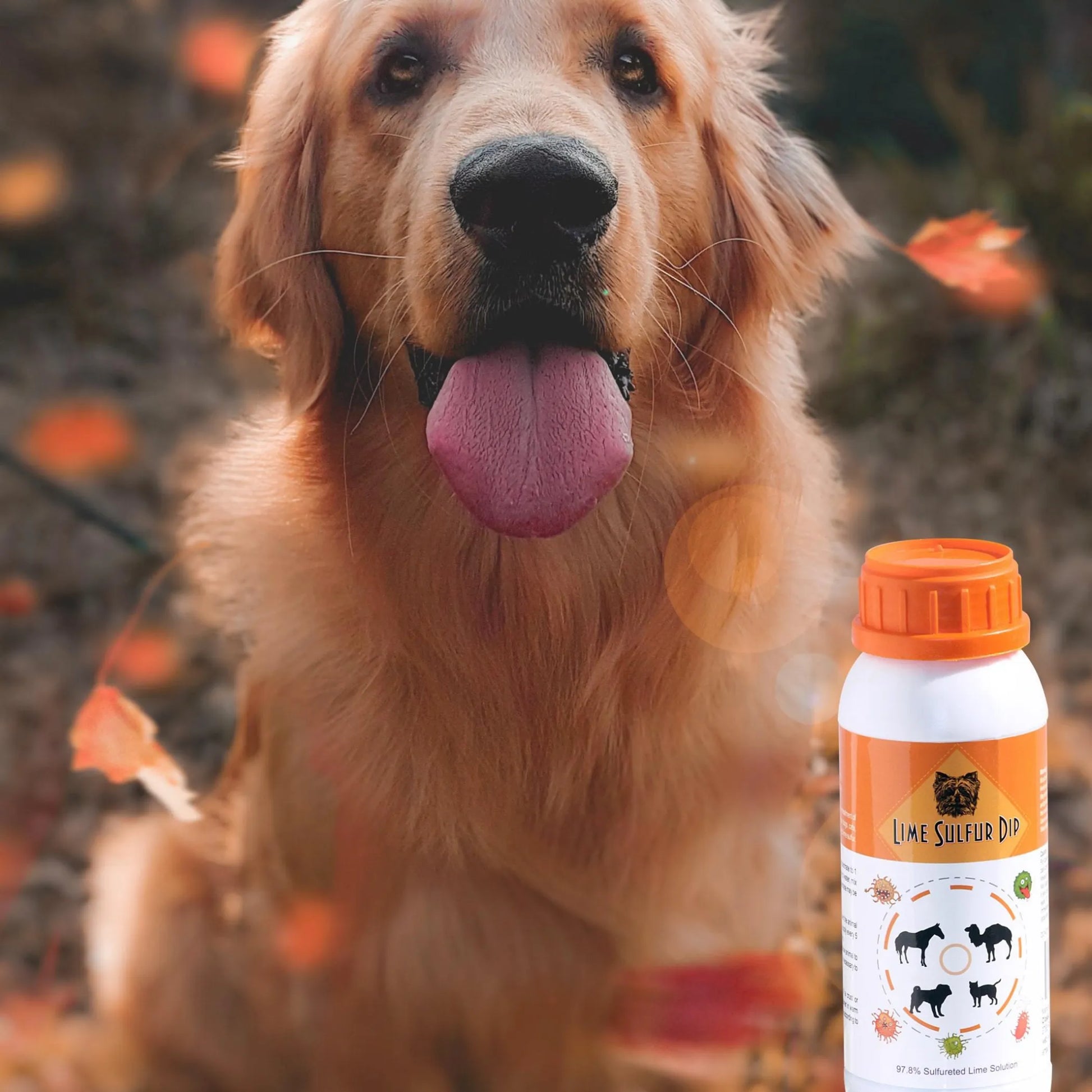 Lime Sulfur Dip - Pet and Veterinary Solution for Dermatitis, Mange, Ringworm and other Parasites - Your Pet Connection