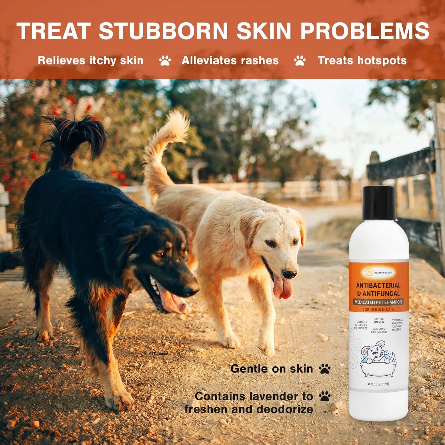 Classic's Medicated Pet Shampoo - Veterinary Treatment Against Ringworm, Mange, Lice, and Dry Skin - Your Pet Connection
