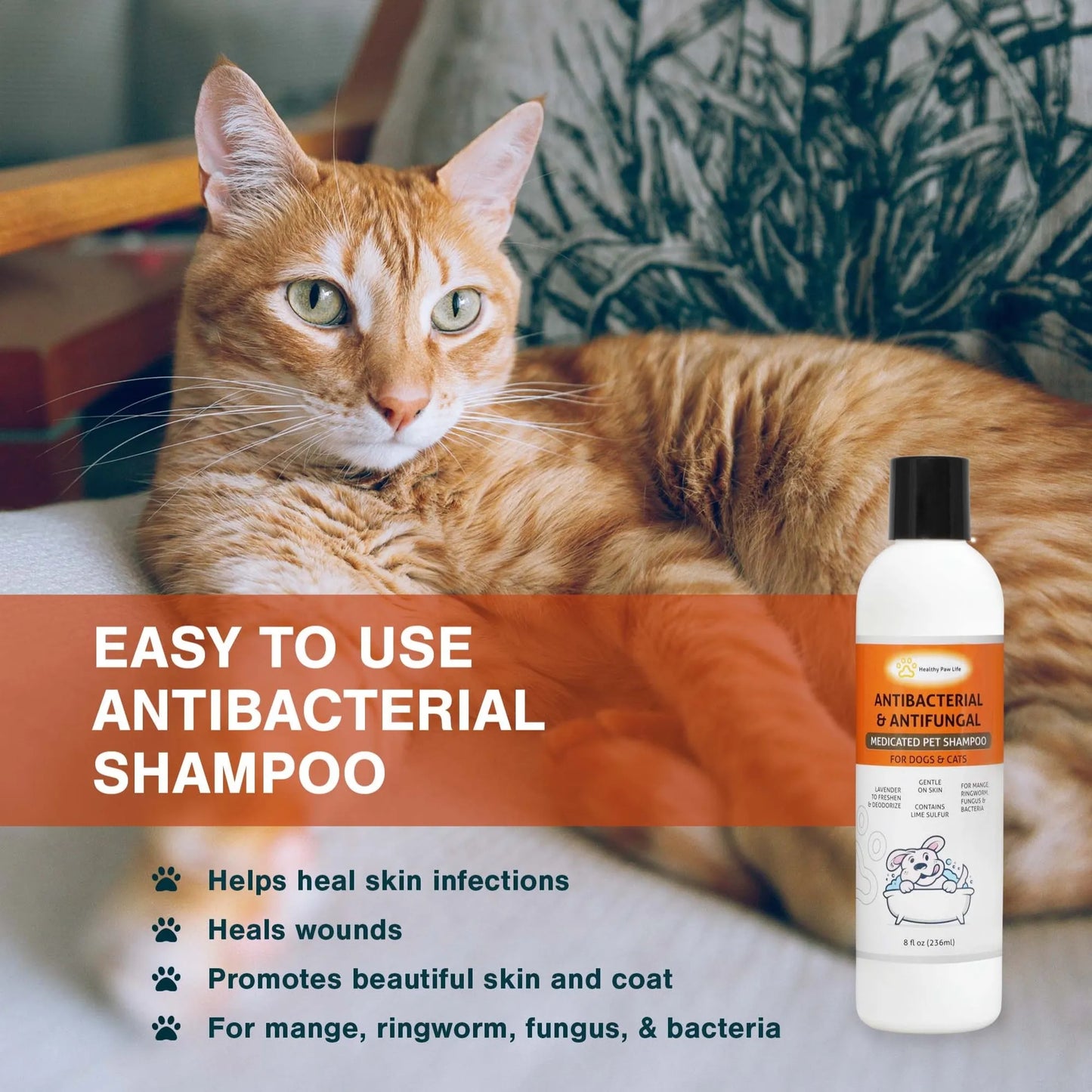 Classic's Medicated Pet Shampoo - Veterinary Treatment Against Ringworm, Mange, Lice, and Dry Skin - Your Pet Connection
