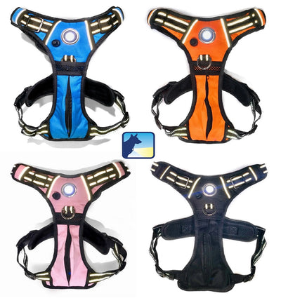 Headlight Harness, Dog Harness with Built In LED Light - Your Pet Connection
