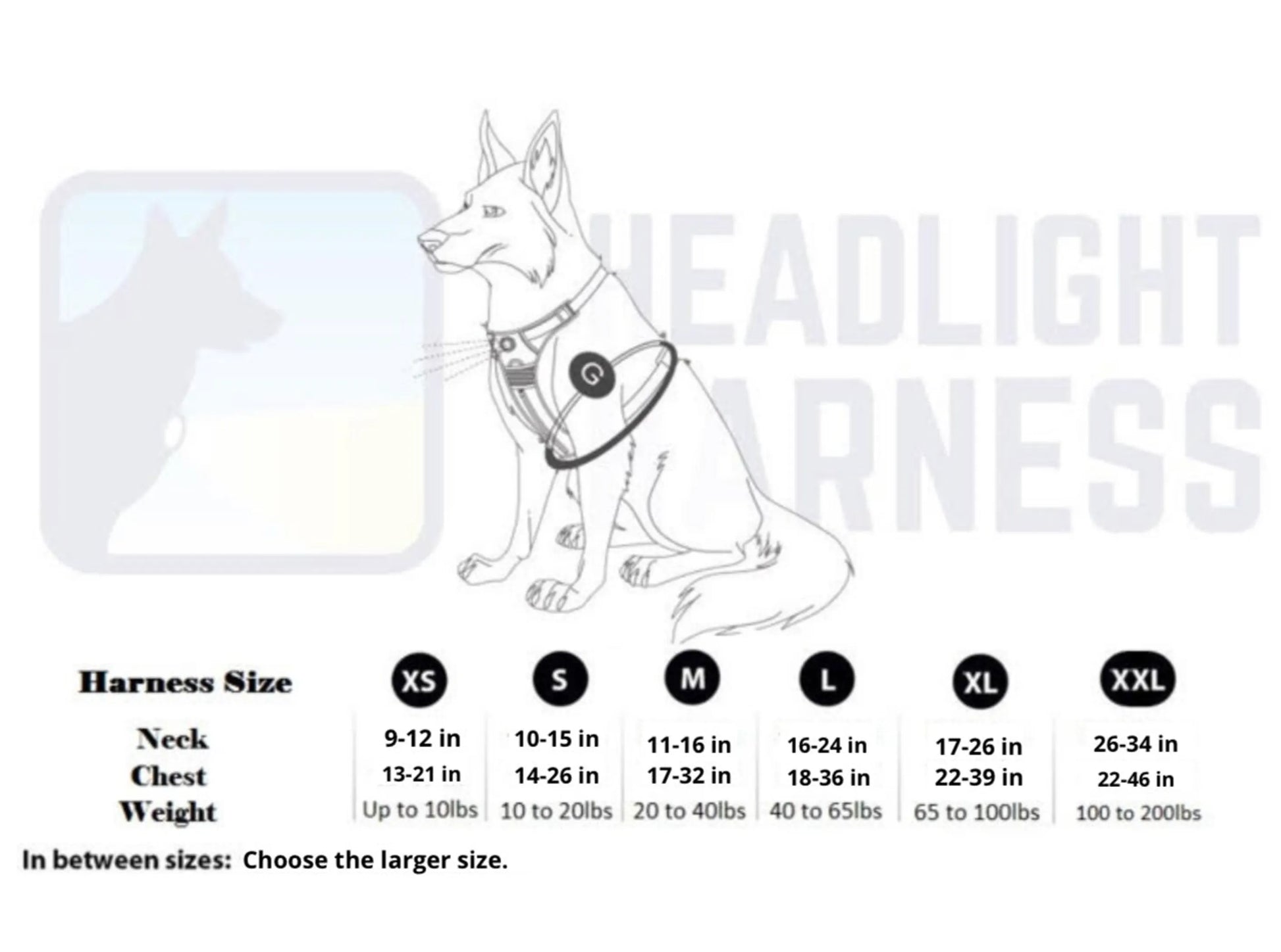 Headlight Harness, Dog Harness with Built In LED Light - Your Pet Connection