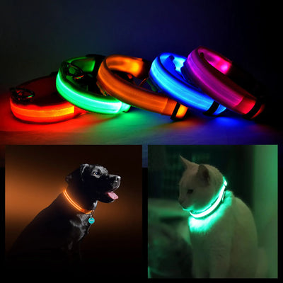 LED PET Safety Halo Style Collar - Your Pet Connection