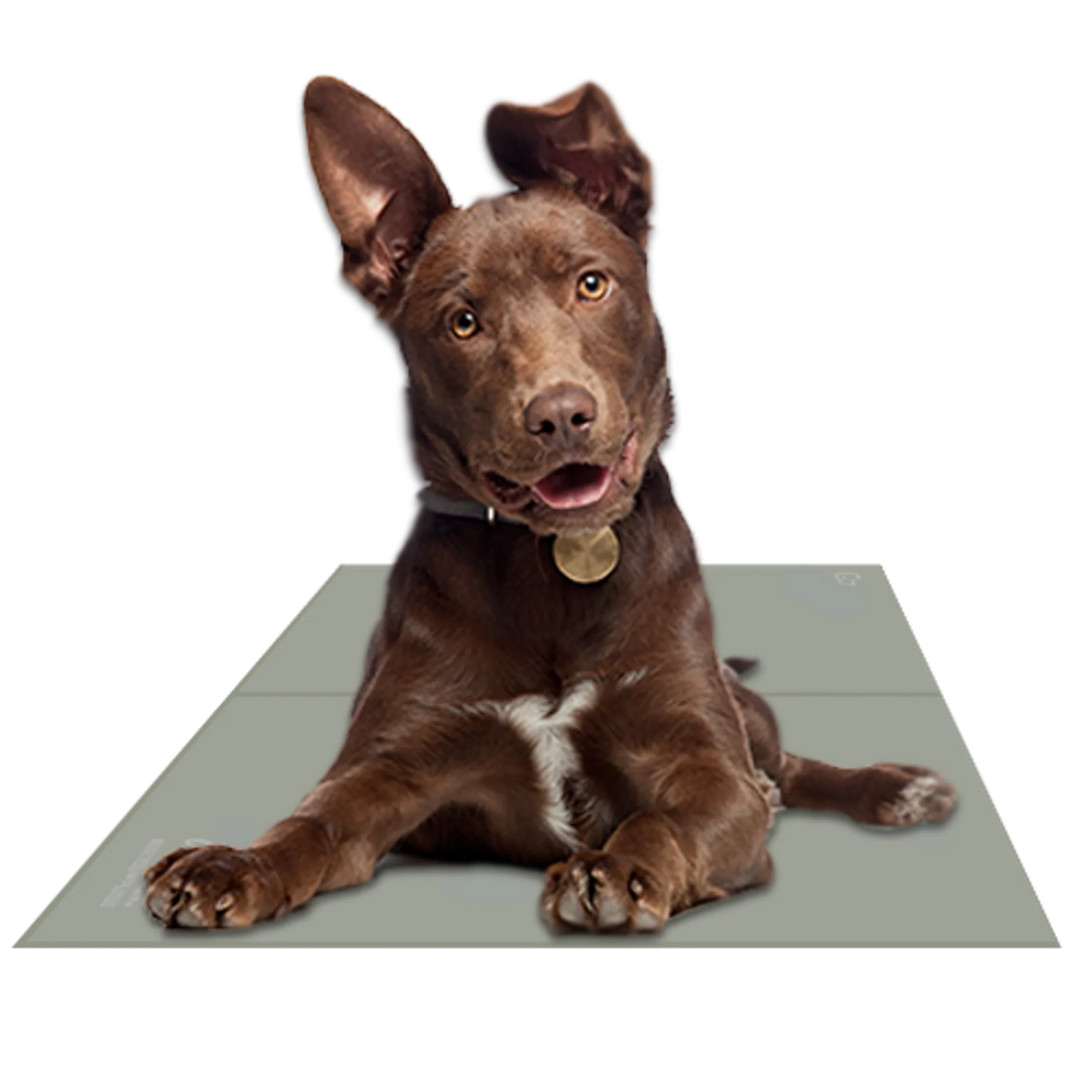 Chillz Gel Mat - Your Pet Connection