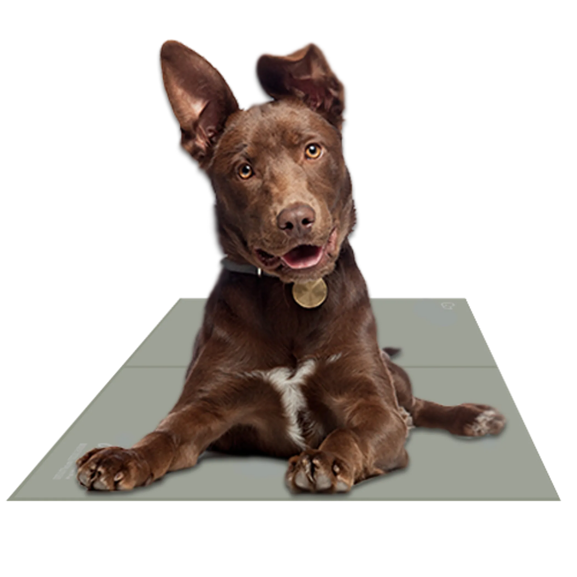 Chillz Gel Mat - Your Pet Connection
