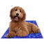 Chillz Gel Mat - Your Pet Connection