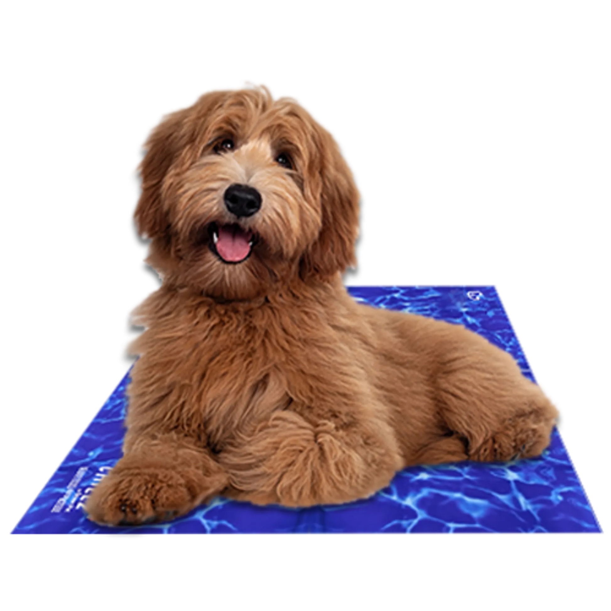 Chillz Gel Mat - Your Pet Connection