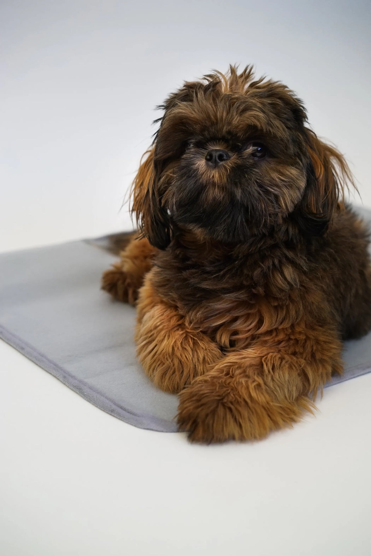 The Green Pet Shop Bamboo Charcoal Pet Mat Small