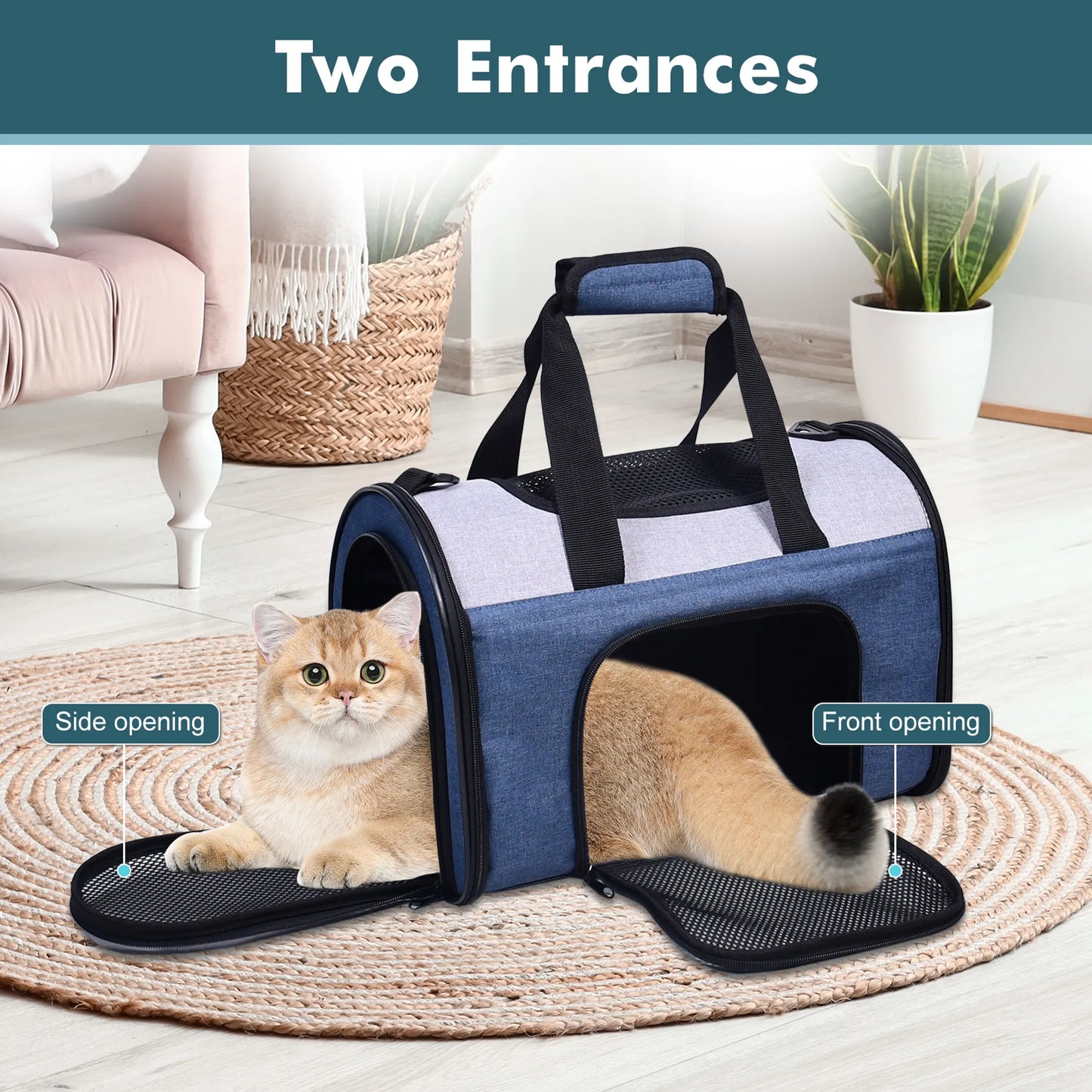 JESPET Soft-Sided Kennel Pet Carrier for Small Dogs, Cats, Puppy, Airline Approved Cat Carriers Dog Carrier Collapsible, Travel Handbag & Car Seat - Your Pet Connection
