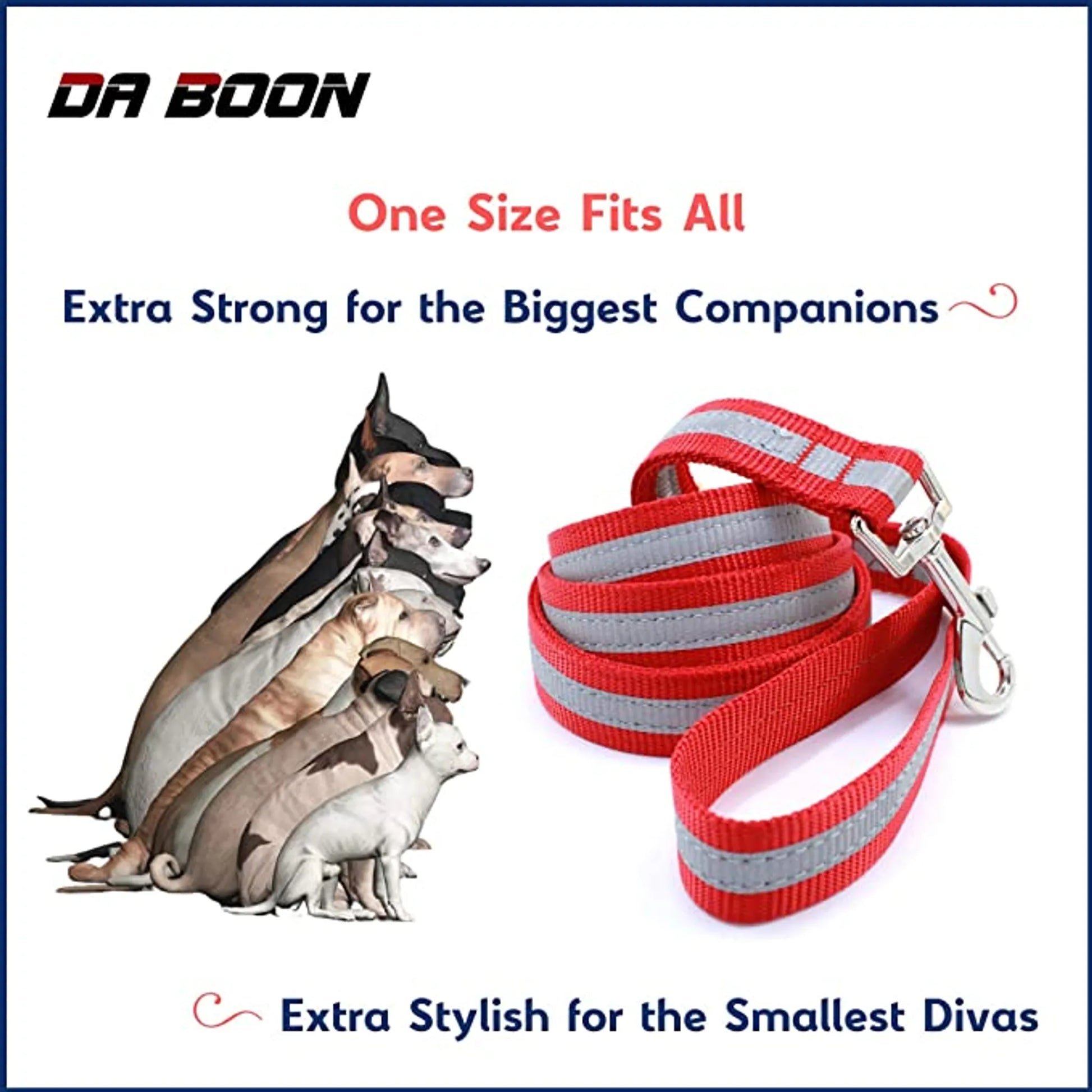 Da Boon Original Double-Sided Reflective Leash - Your Pet Connection