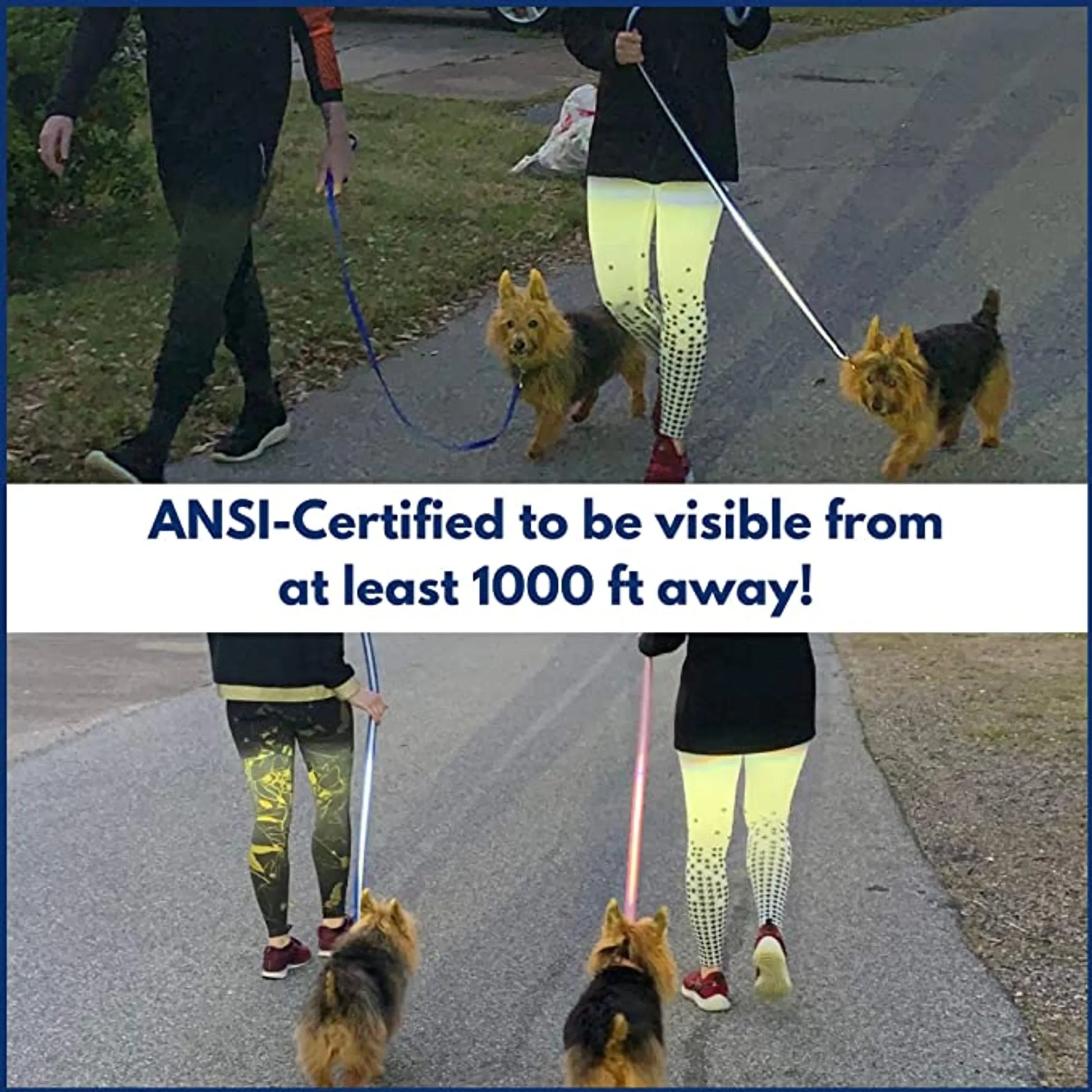 Da Boon Original Double-Sided Reflective Leash - Your Pet Connection