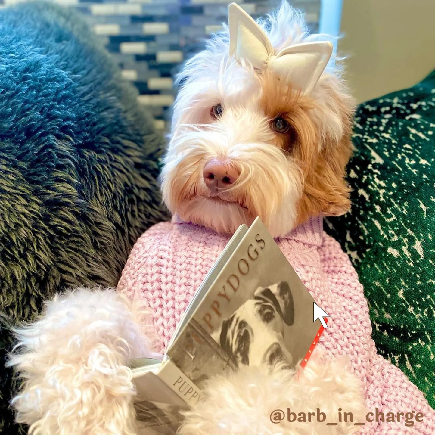 The Perfect Knit Sweater, Turtleneck - Your Pet Connection