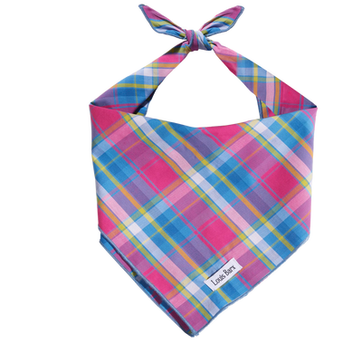 Colorful Plaid Bandana - Your Pet Connection