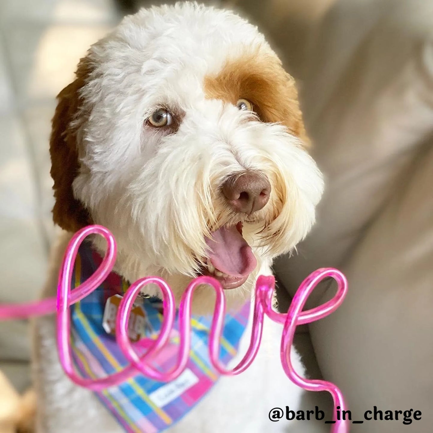 Louis Barx Rainbow Cotton Dog Bandana