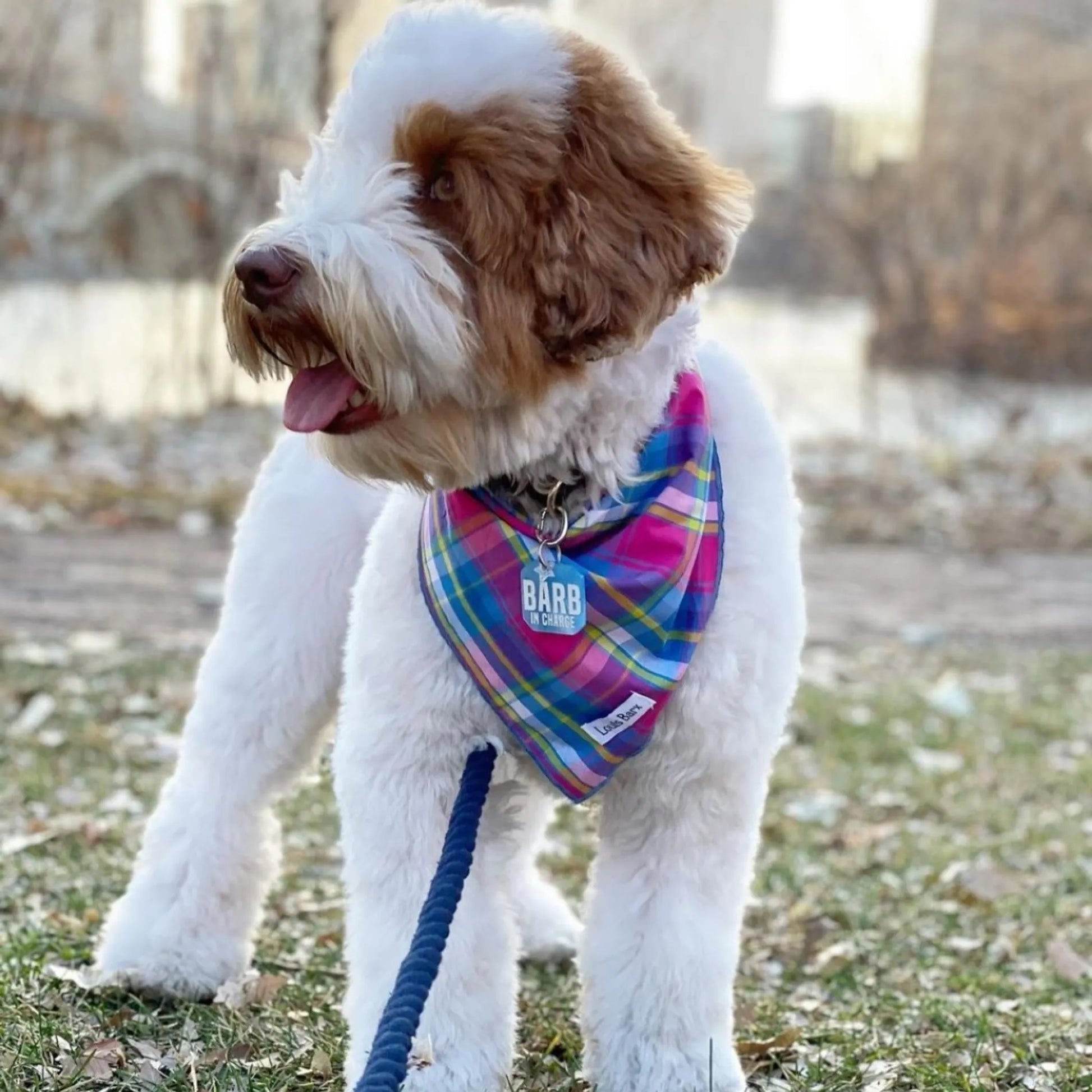 Colorful Plaid Bandana - Your Pet Connection