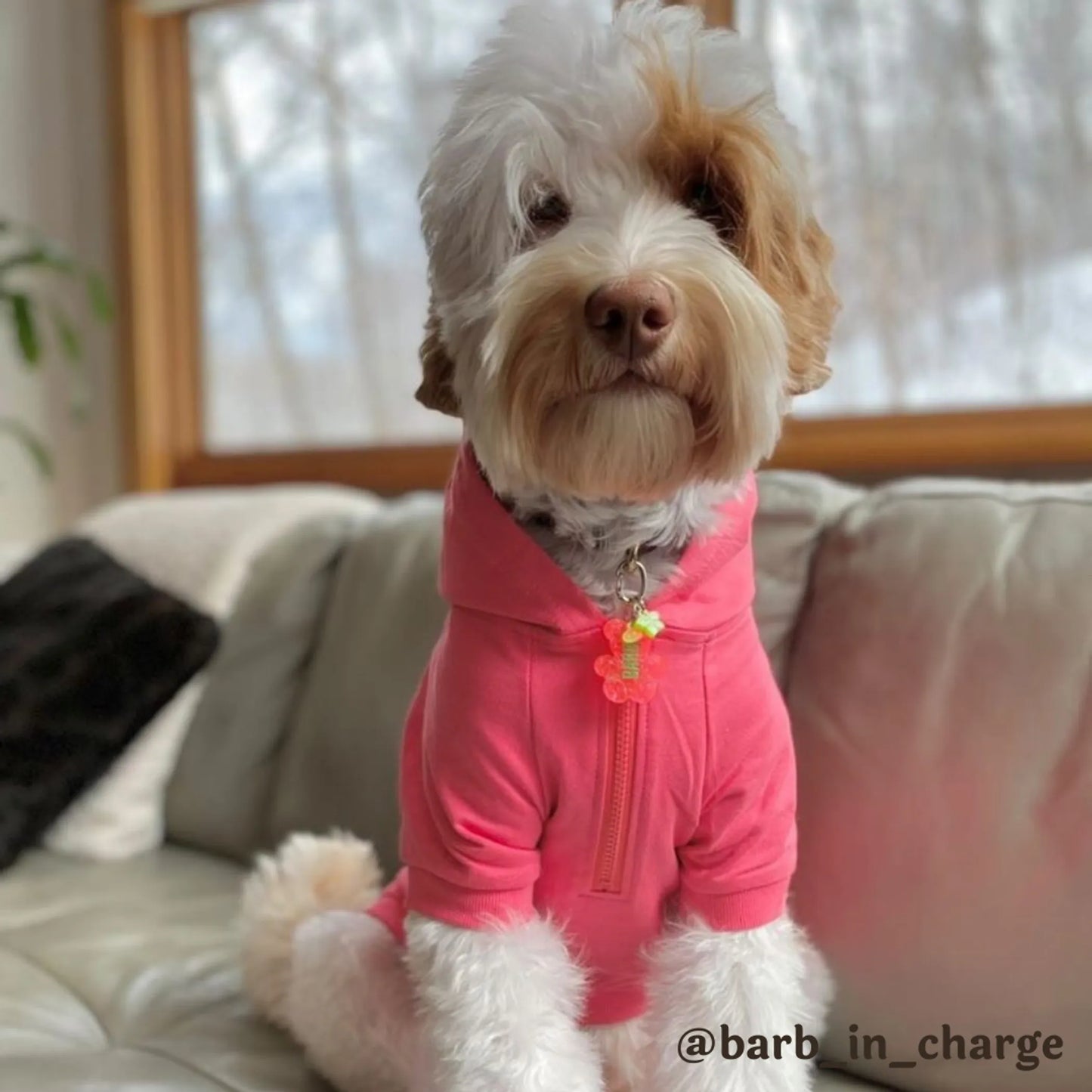 The Everyday Hoodie - CUTE AF - Your Pet Connection