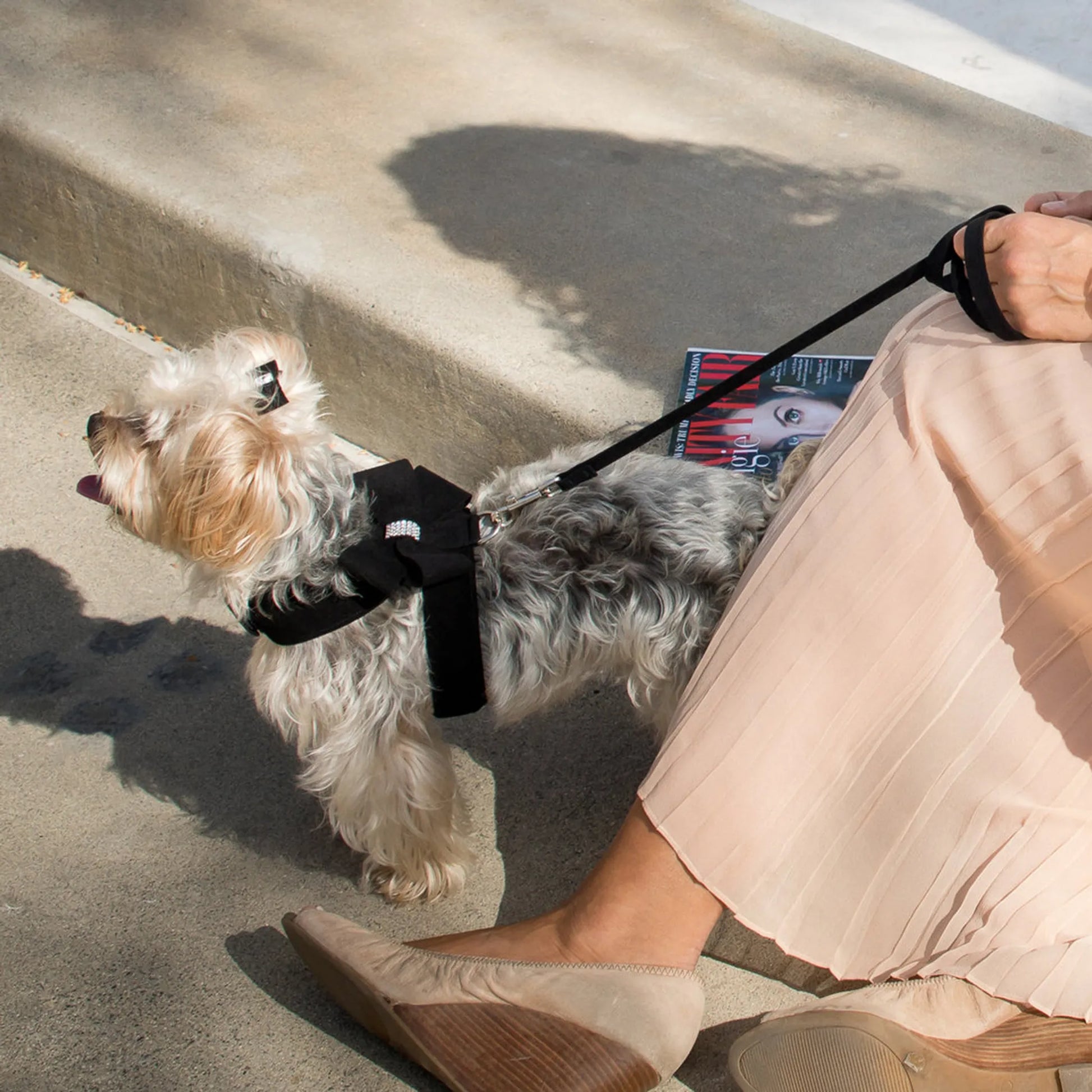 Susan Lanci Designs Plain Leash - Your Pet Connection