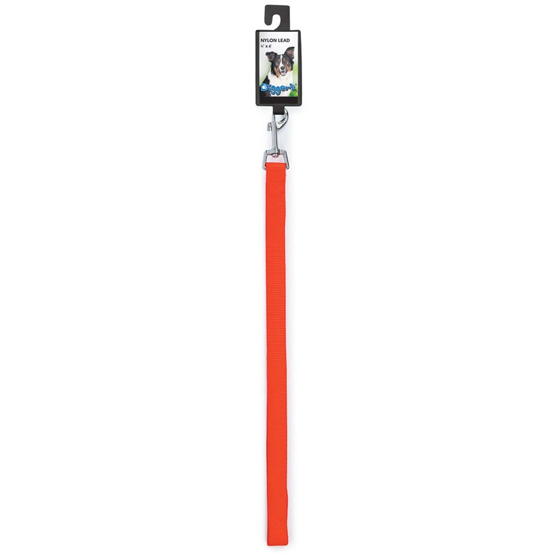 DGR 3/4in Nylon Lead 48in Neon Org - Your Pet Connection