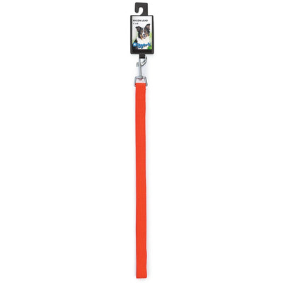 DGR 3/4in Nylon Lead 48in Neon Org - Your Pet Connection