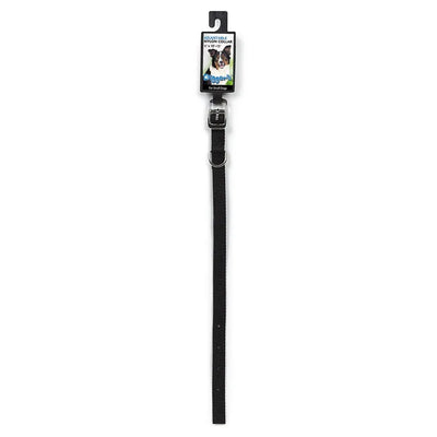 DGR 5/8in Nylon Collar 6-9in Black - Your Pet Connection