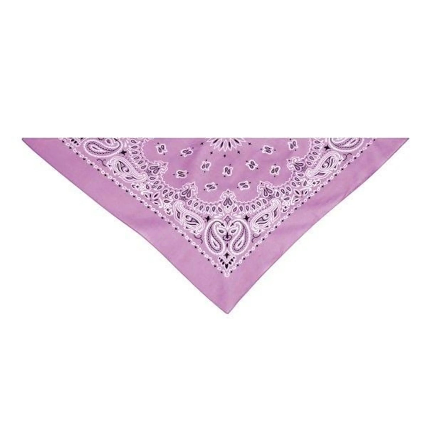 Top Performance Elegant Paisley Bandana 22 inches