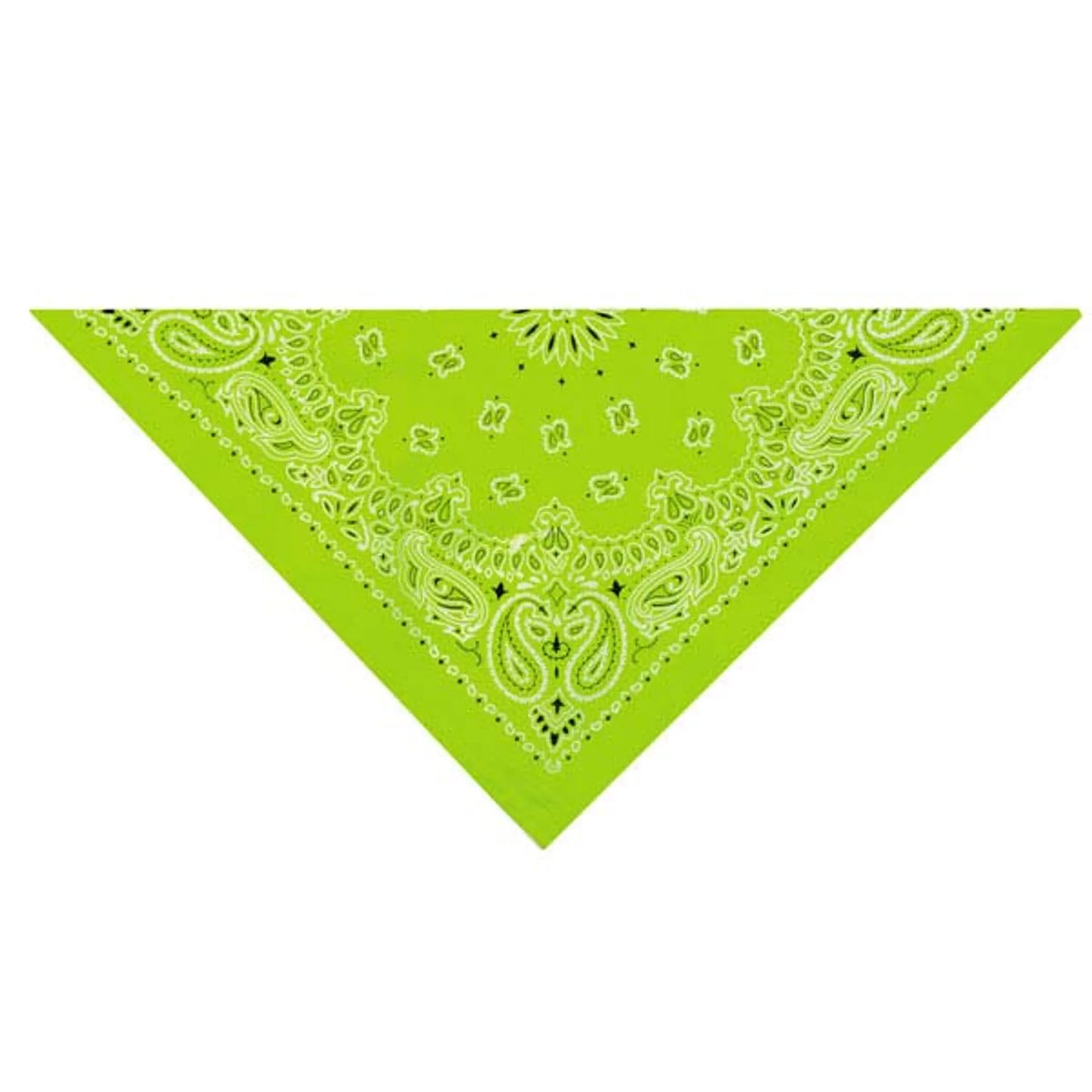 Top Performance Elegant Paisley Bandana 22 inches