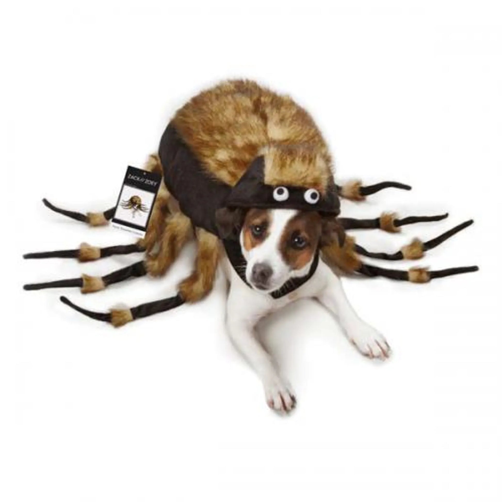 ZZ Fuzzy Tarantula Costume - Your Pet Connection