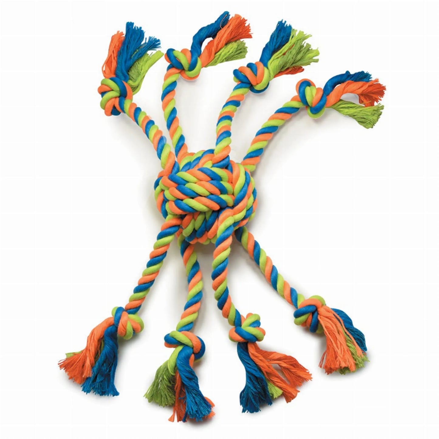 GR Mighty Bright Crazy Eight - Your Pet Connection