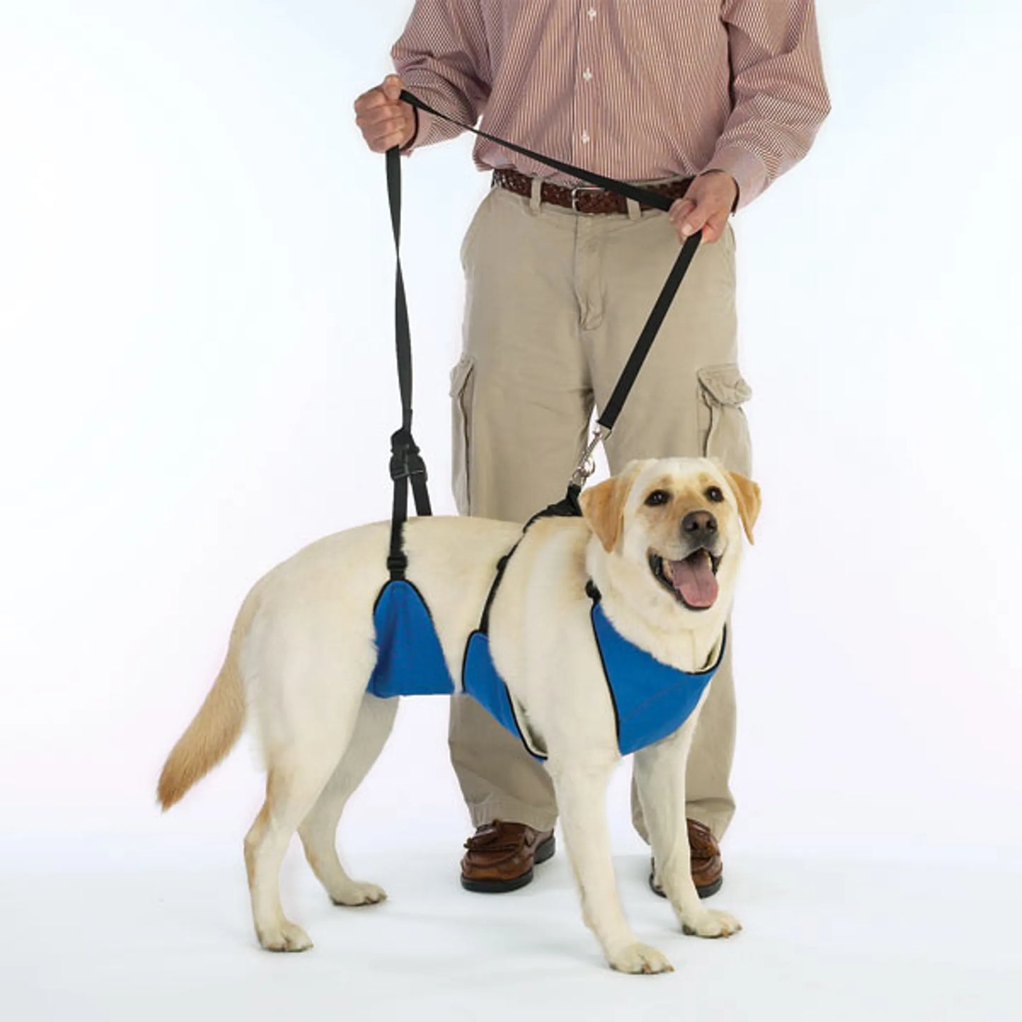 Total Pet Health Mobility Harness Blue Large