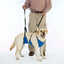 TPH Lift & Lead 4 in 1 - Your Pet Connection