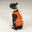 GG Safety Vest - Your Pet Connection