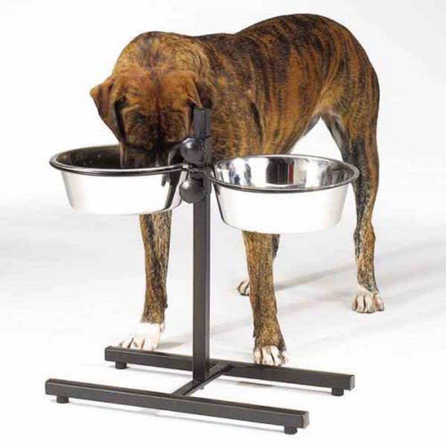 ProSelect Adjustable Diner with/Bowls 160oz - Your Pet Connection