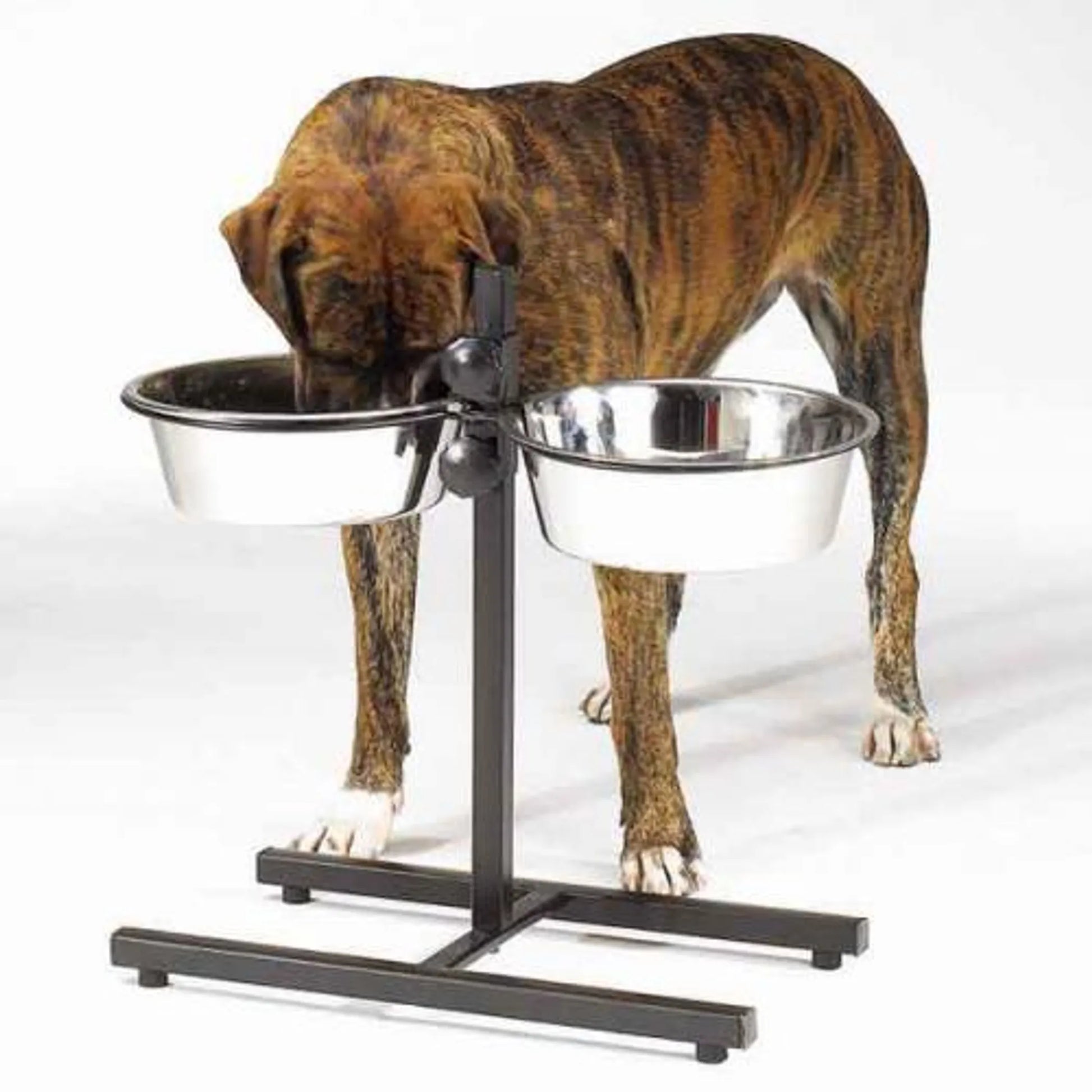 ProSelect Adjustable Diner with/Bowls 160oz - Your Pet Connection