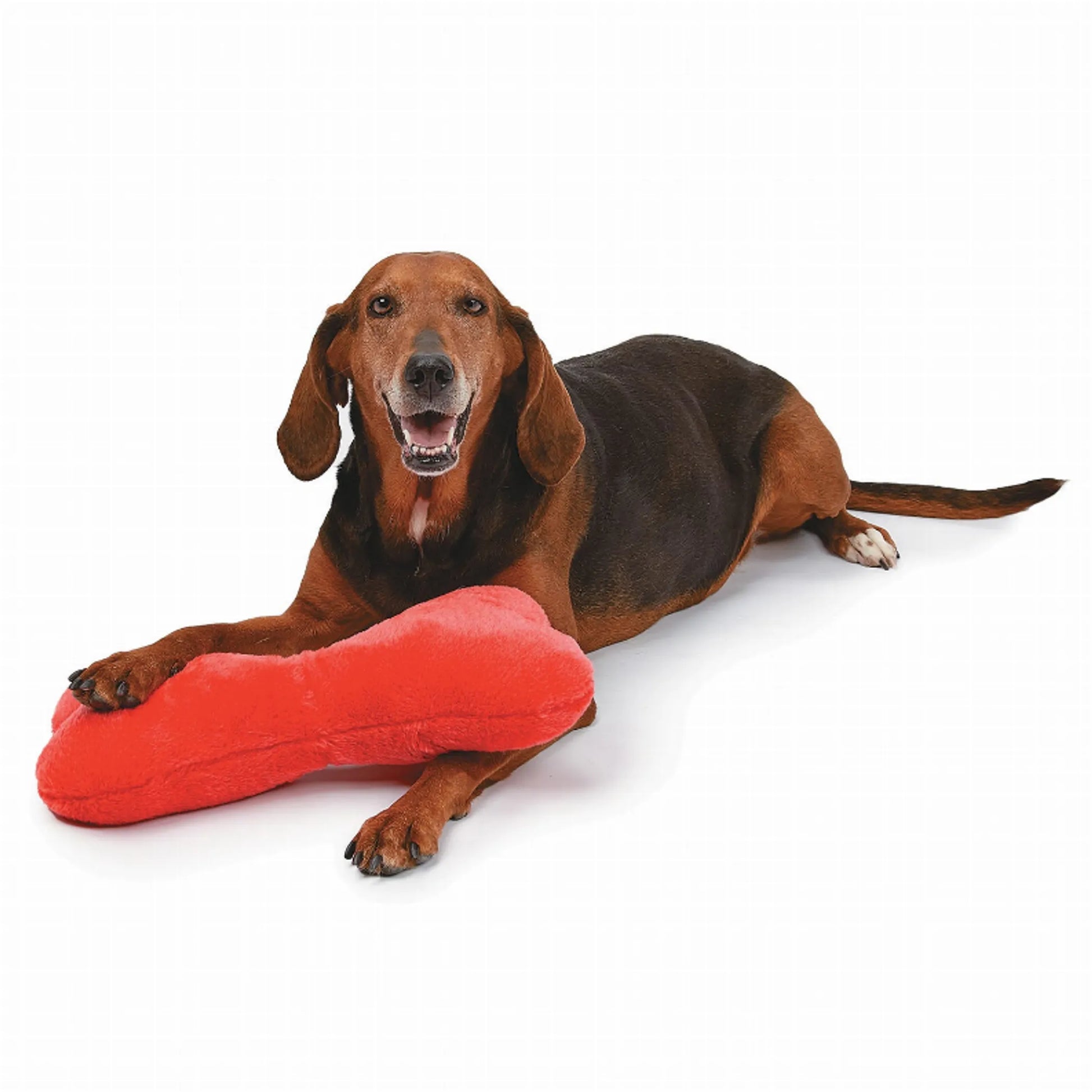 ZA Mega Color Plush Bone 16.5In Asst - Your Pet Connection